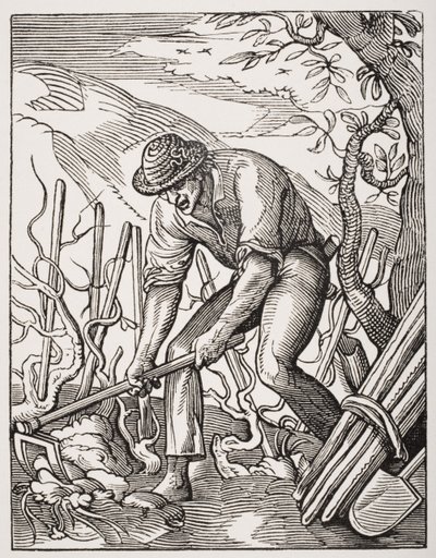 El viticultor, después de un grabado de Jost Amman (1539-91) de 